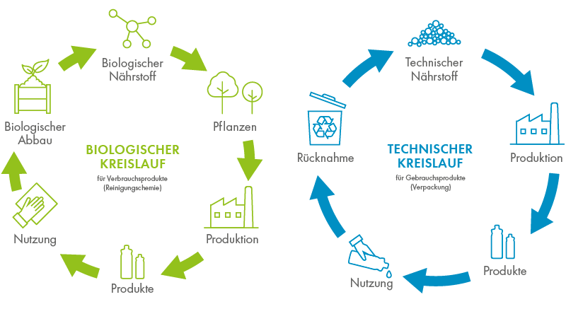 Infografik_CradletoCradle_600